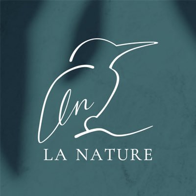 LA NATURE（ラ・ナチュール） 赤坂 シーシャ 水タバコ